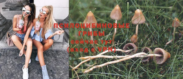 PSILOCYBIN Козловка