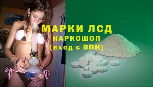 PSILOCYBIN Козловка