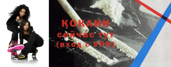PSILOCYBIN Козловка