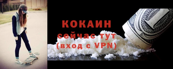 PSILOCYBIN Козловка