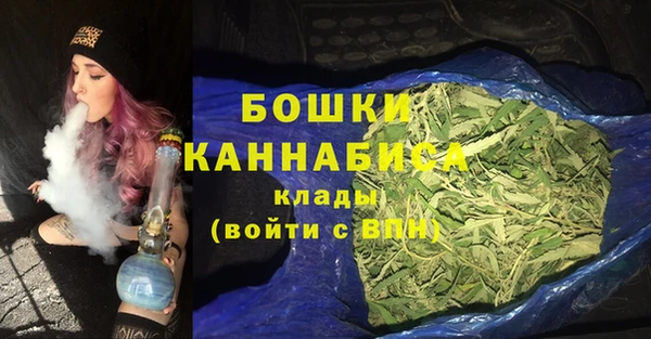 PSILOCYBIN Козловка