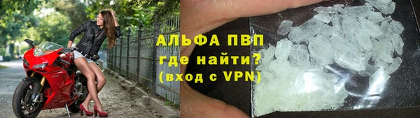 PSILOCYBIN Козловка